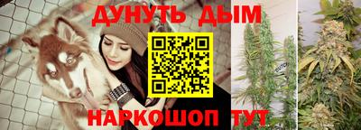 apvp Краснознаменск