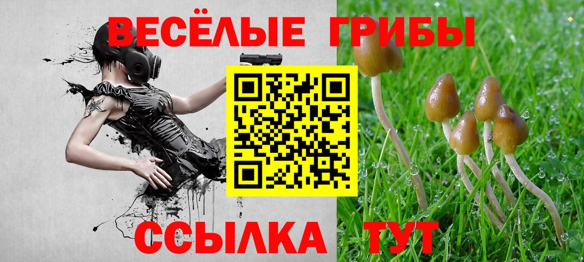 Каннабис  Метамфетамин  Кокаин  Мефедрон кристаллы  Вход с VPN  ГАШИШ  Кисловодск  Альфа ПВП СК кристаллы 