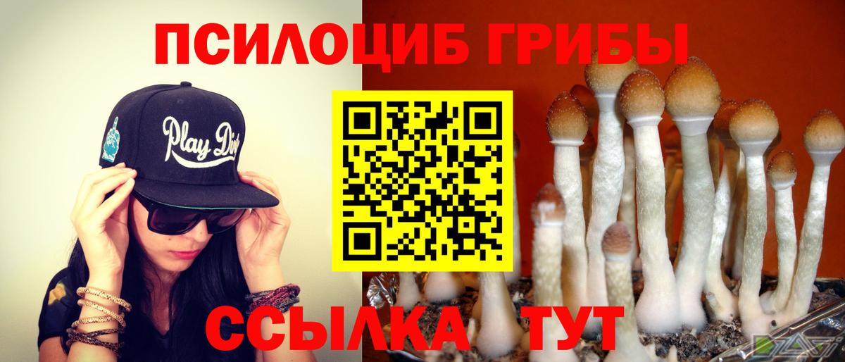 Галлюциногенные грибы Magic Shrooms  закладка  Кисловодск  Вход с VPN 