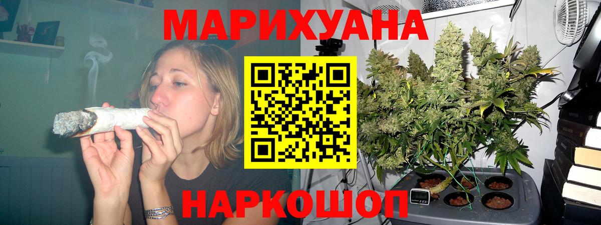 Каннабис семена  Вход с VPN  Кисловодск  Бошки марихуана гибрид  Шишки марихуана MAZAR  Бошки марихуана Ganja 